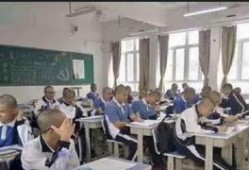 中学学校最新爆料,独家内幕大公开！