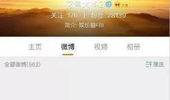 伟卓最新爆料视频大全,揭秘幕后真相，热点事件全解析