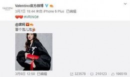 csgc最新爆料,揭秘神秘项目背后的科技革命
